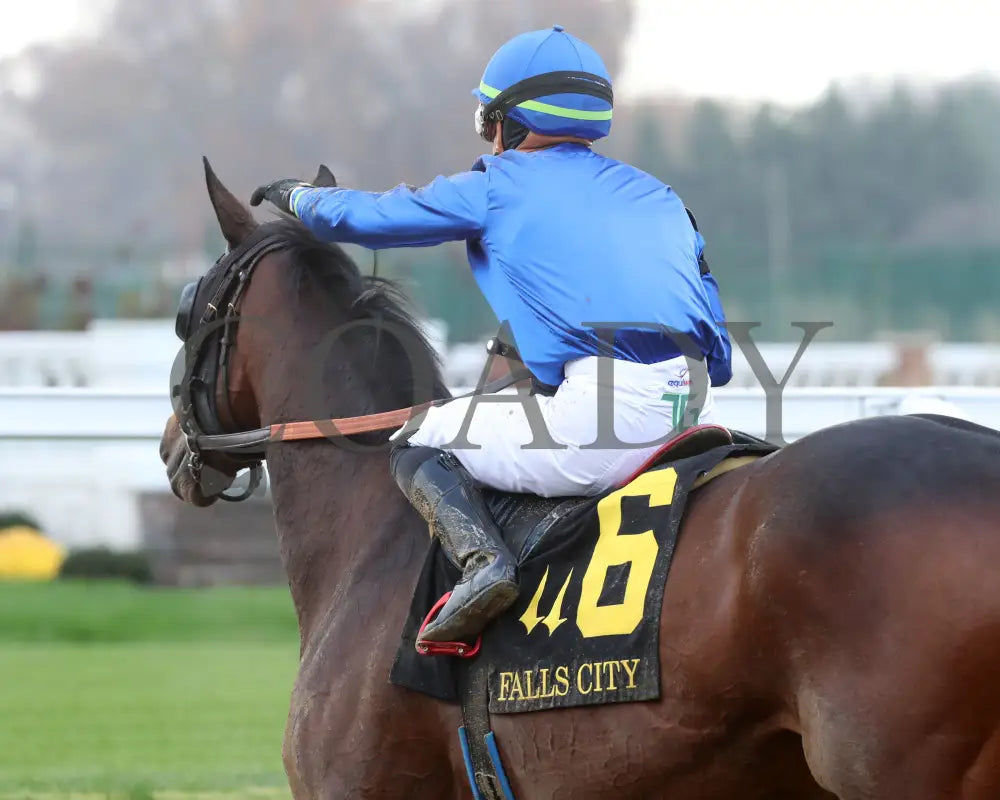 Loved - The Falls City G3 109Th Running 11-28-24 R09 Cd Come Back 02 Churchill Downs