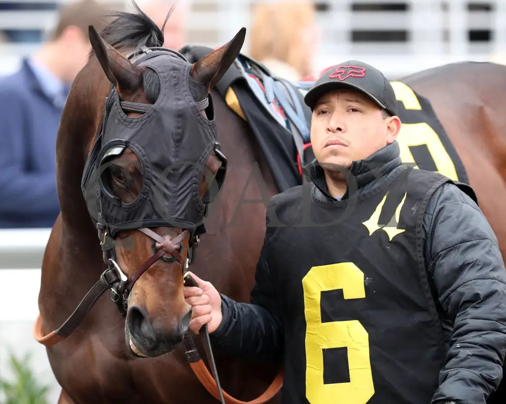 Loved - The Falls City G3 109Th Running 11-28-24 R09 Cd Paddock 01 Churchill Downs