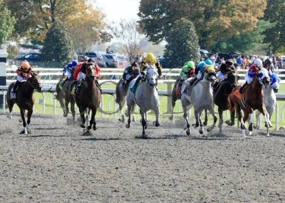 Lovesmelovesmenot - 2 102211 Race 03 Keeneland