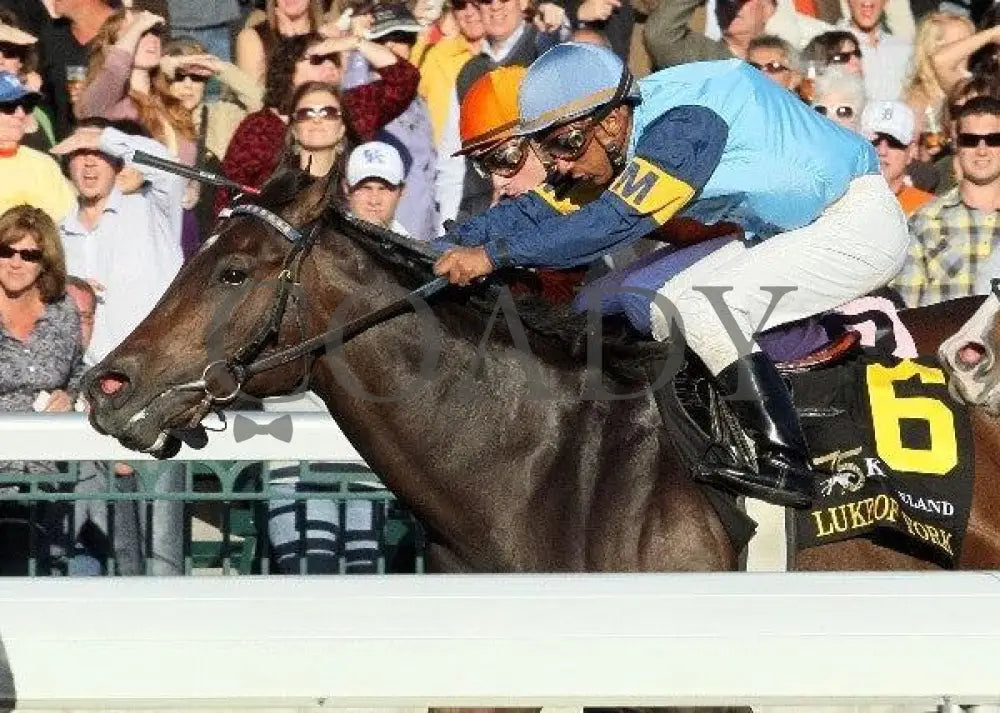 Luke Of York - Tight Inside Finish 101511 Race Keeneland
