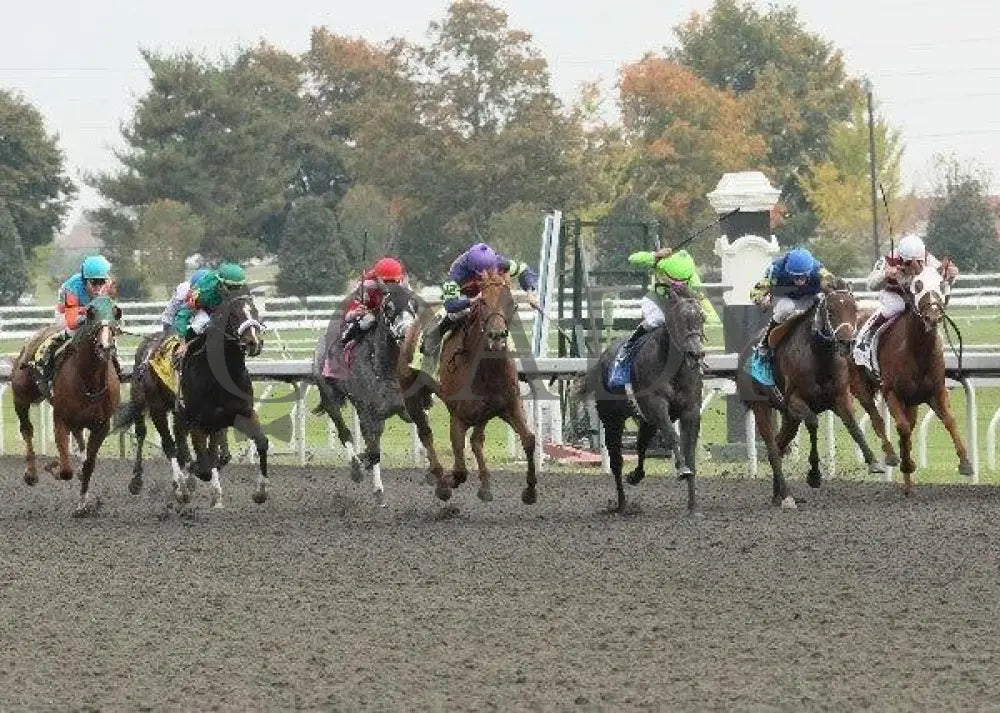 Lulengo Uno - 3 101211 Race 06 Keeneland