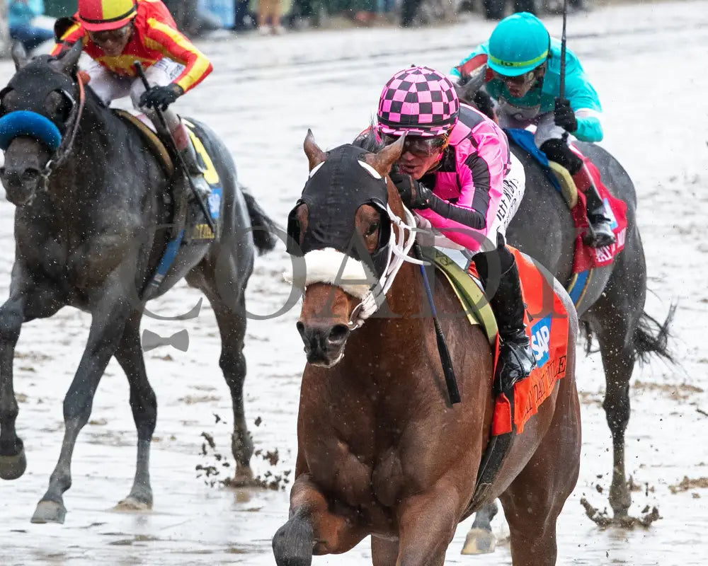 MACHO MUSIC - The Pat Day Mile G2 - 101st Running - 05-03-25 - R06 - CD - Inside Finish 01 Churchill Downs