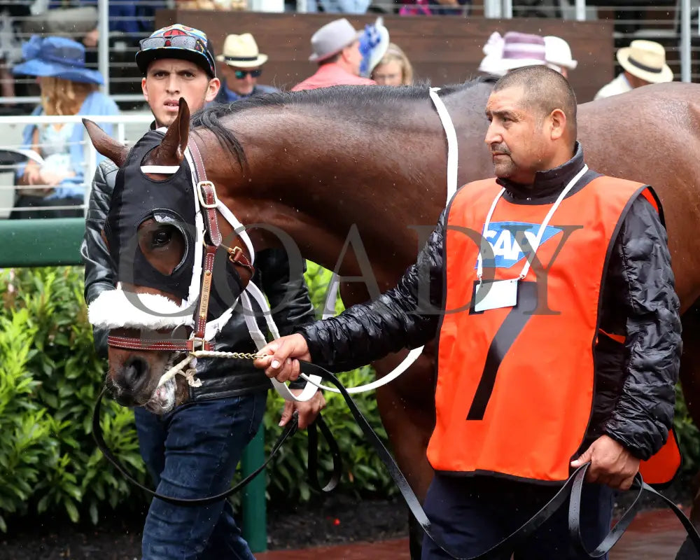 MACHO MUSIC - The Pat Day Mile G2 - 101st Running - 05-03-25 - R06 - CD - Paddock 02 Churchill Downs