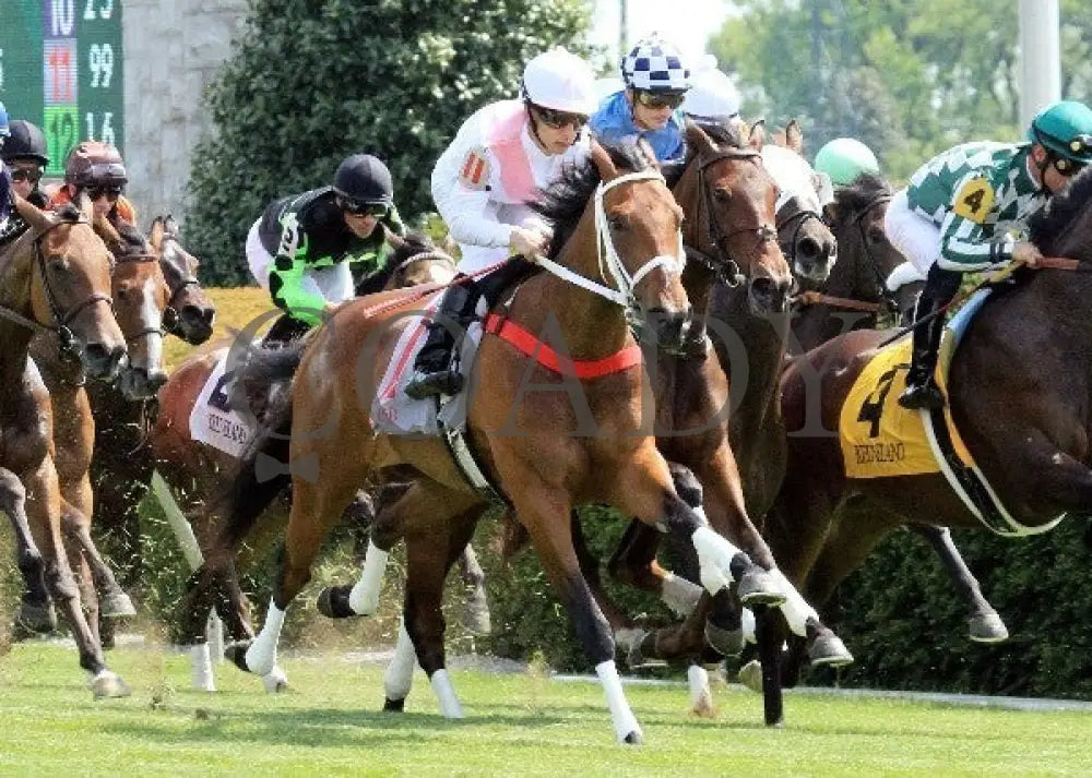 Maid On A Mission - 041512-004 Keeneland