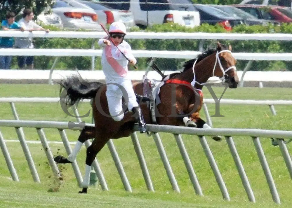 Maid On A Mission - 041512-006 Keeneland