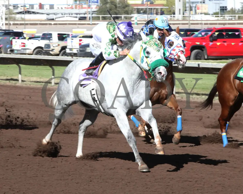 MAKA ROOM - The Champagne Lane - 10-26-25 - R05 - The Downs at Albuquerque - Inside Finish 2 Downs at Albuquerque