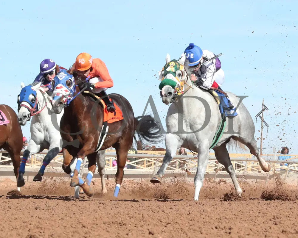 Maka Roon - New Mexico Classic Distaff Stakes 12-15-24 R02 Zia Park Under Rail