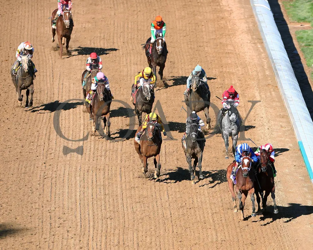 Malathaat - The Kentucky Oaks G1 147Th Running 04-30-21 R11 Cd Aerial Finish 01 Derby
