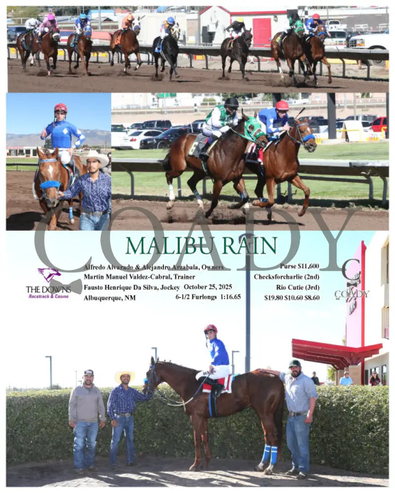 MALIBU RAIN - 10-25-25 - R03 - ALB Downs at Albuquerque