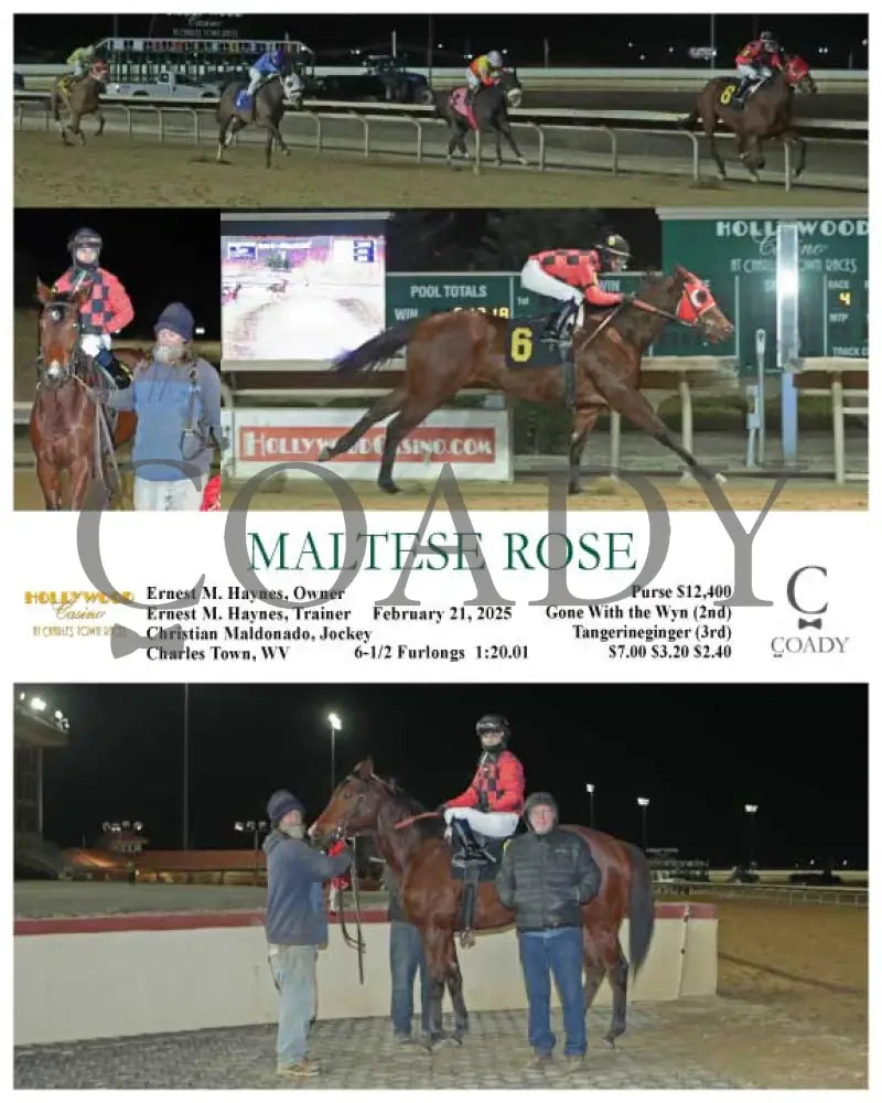 MALTESE ROSE - 02-21-25 - R04 - CT Hollywood Casino at Charles Town Races