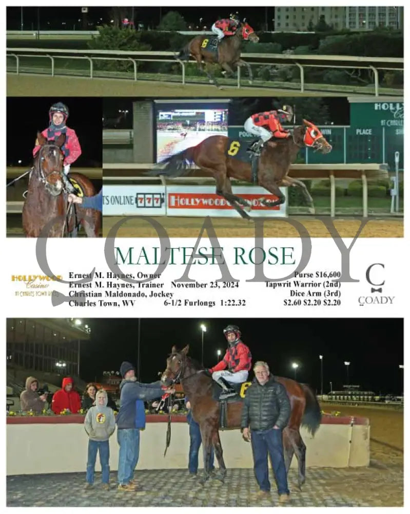 Maltese Rose - 11-23-24 R05 Ct Hollywood Casino At Charles Town Races
