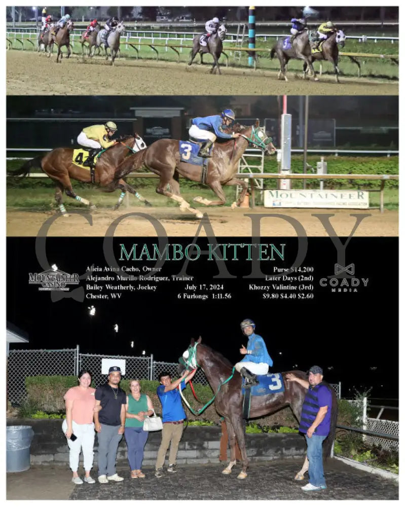 Mambo Kitten - 07-17-24 R07 Mnr Mountaineer Park