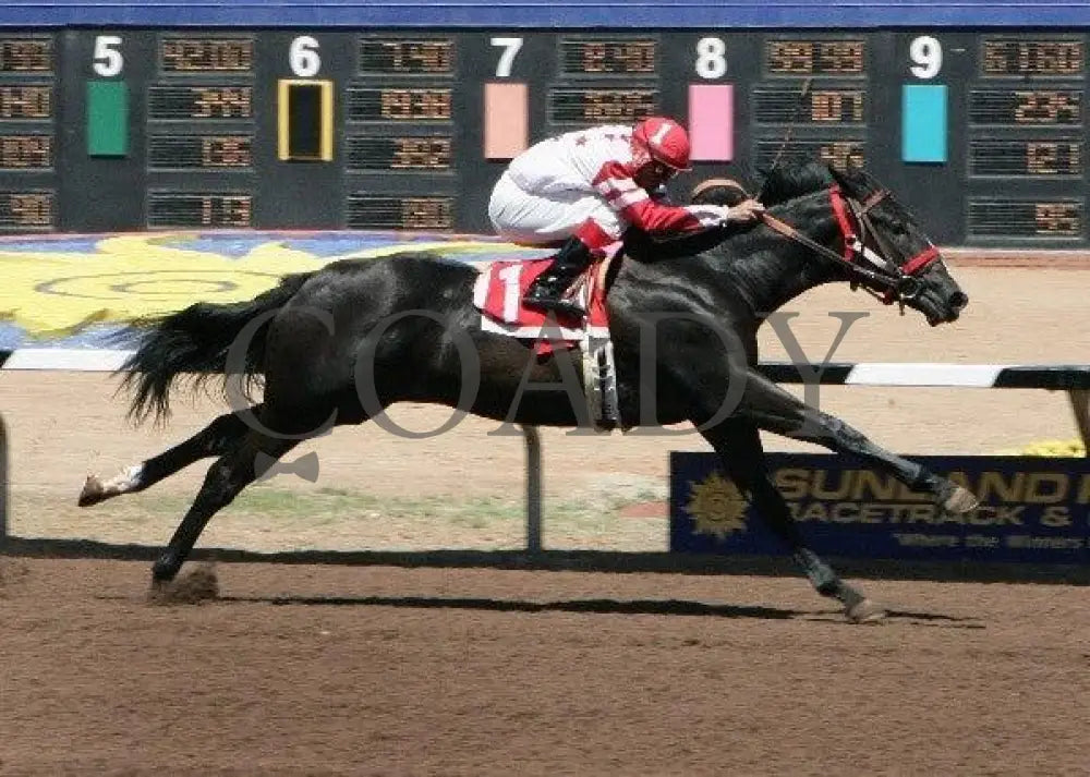 Mark It Famous - West Texas Futurity Trial Sunland Park