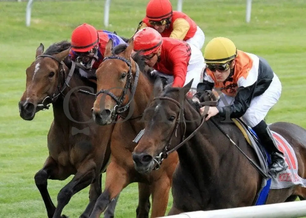Marketing Mix - 041112 Race 07 Inside Fin Keeneland