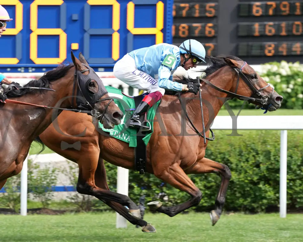 MARKSMAN QUEEN - The Keertana - 12th Running - 05-24-25 - R09 - CD - Finish 07 Churchill Downs