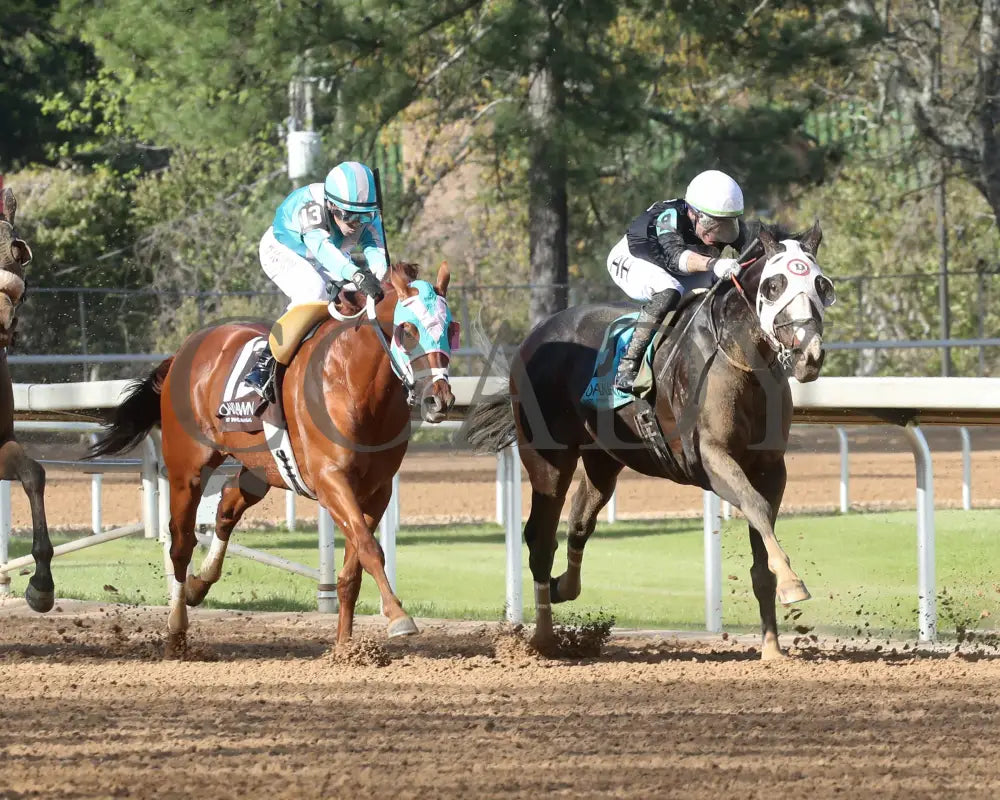 Masqueparade - The Temperence Hill Stakes 5Th Running 03 - 29 - 24 R09 Op Turn 03 Oaklawn Park