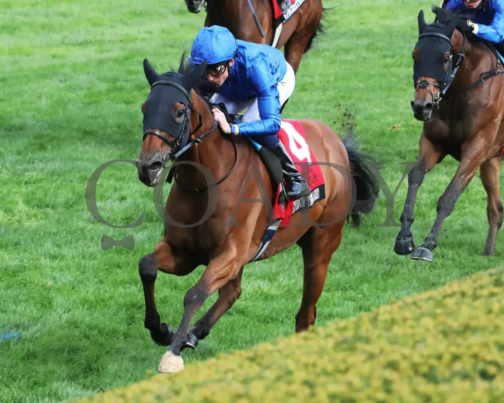Master Of The Seas - Maker’s Mark Mile (G1) 36Th Running 04 - 12 - 24 R09 Kee Inside Finish 02