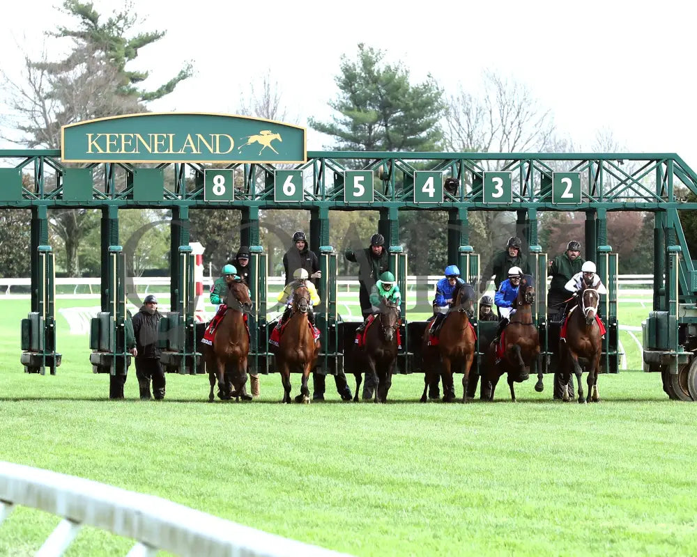 Master Of The Seas - Maker’s Mark Mile (G1) 36Th Running 04 - 12 - 24 R09 Kee Start 01 Keeneland