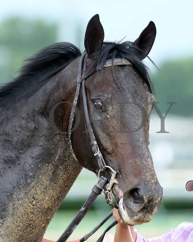 Maxfield - The Matt Winn G3 23Rd Running 05-23-20 R10 Cd Come Back 03 Churchill Downs
