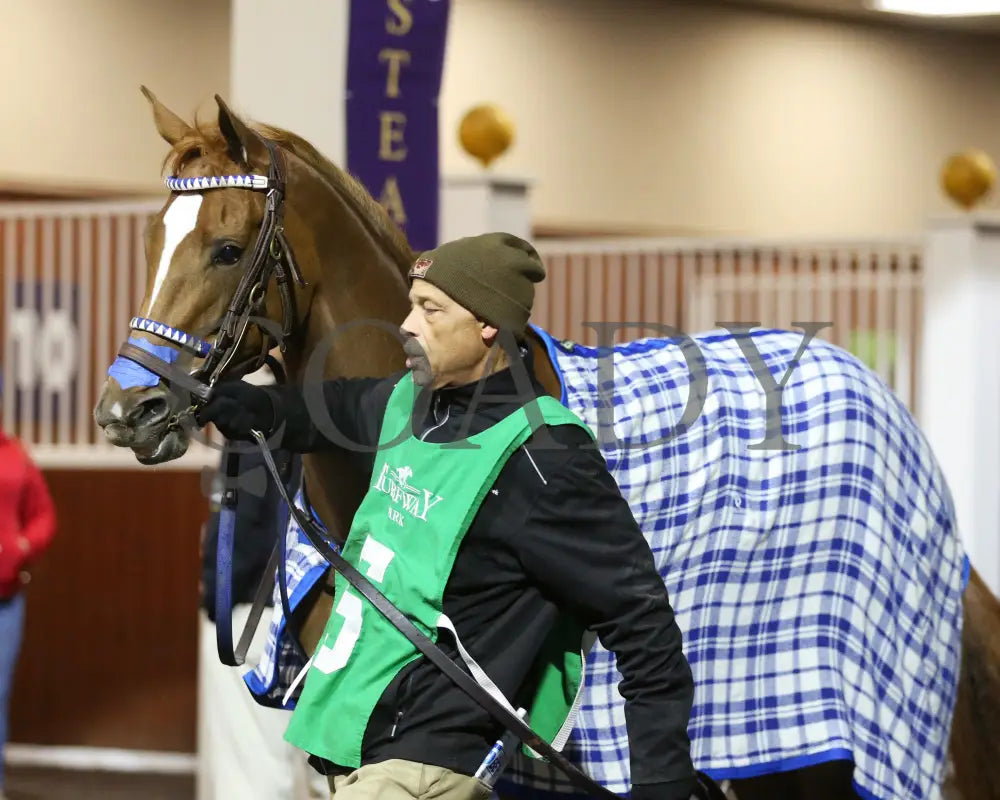 Maxisuperfly - The Cincinnati Trophy 42Nd Running 03-01-24 R06 Tp Paddock 03 Turfway Park