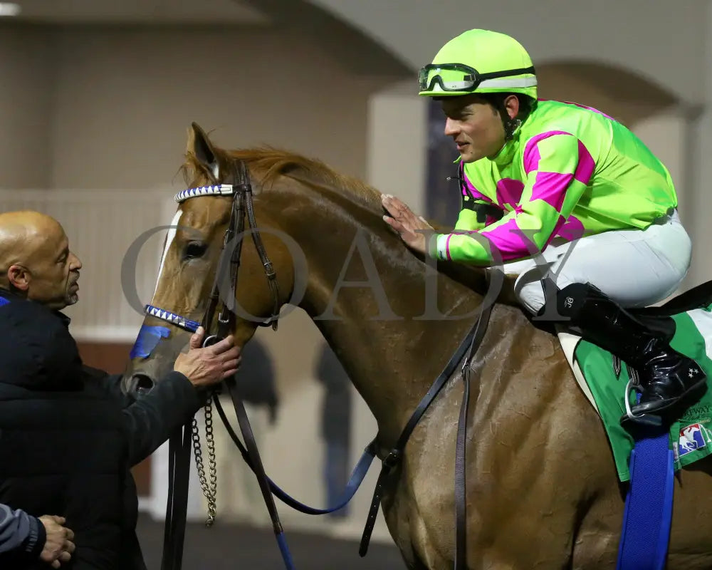 Maxisuperfly - The Cincinnati Trophy 42Nd Running 03-01-24 R06 Tp Post Race 01 Turfway Park