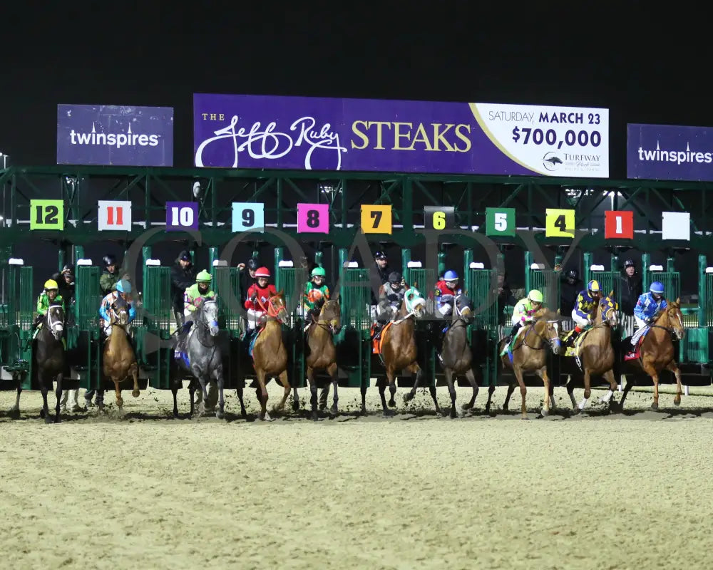 Maxisuperfly - The Cincinnati Trophy 42Nd Running 03-01-24 R06 Tp Start 01 Turfway Park