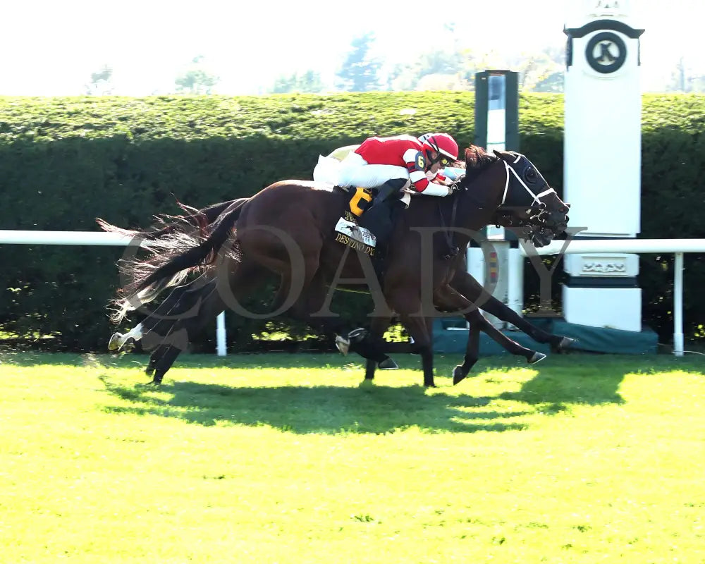 May Day Ready - The Jessamine G2 10-04-24 R08 Keeneland Race Course Finish 01