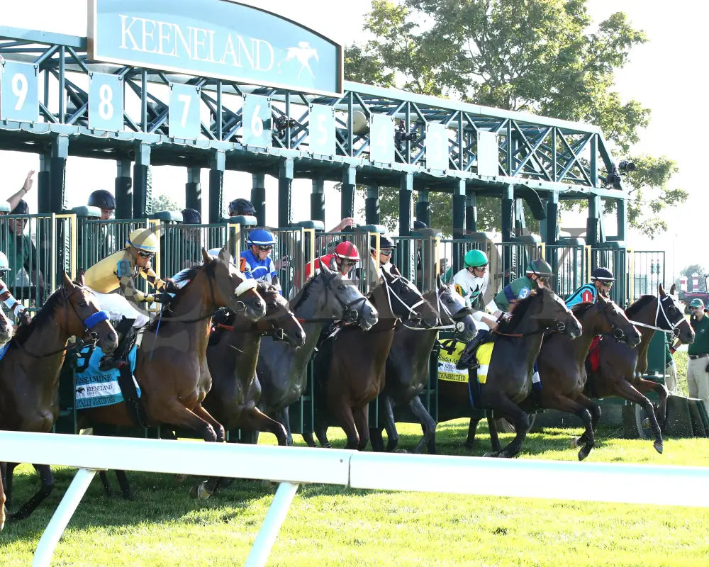 May Day Ready - The Jessamine G2 10-04-24 R08 Keeneland Race Course Start 01