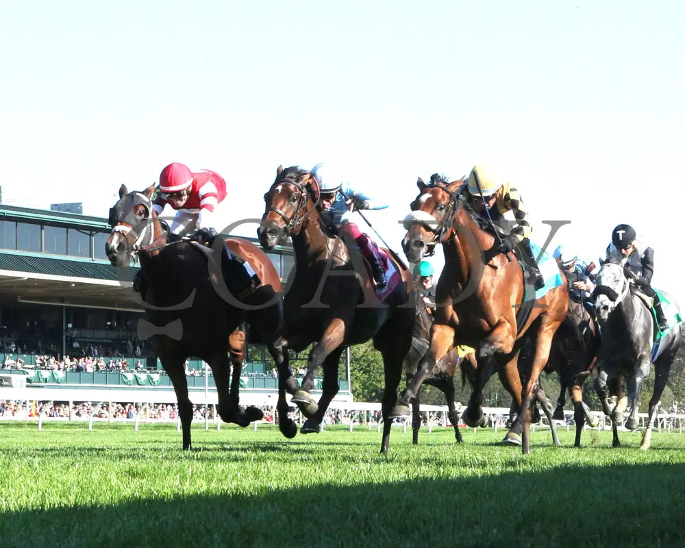 May Day Ready - The Jessamine G2 10-04-24 R08 Keeneland Race Course Under Rail 01