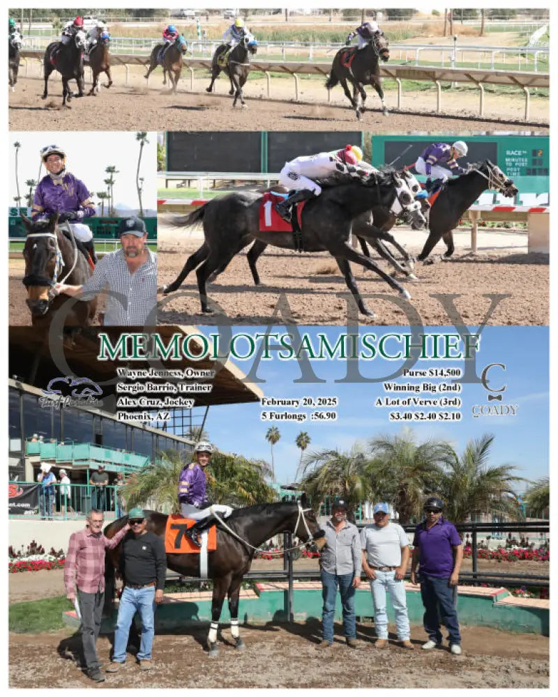 MEMOLOTSAMISCHIEF - 02-20-25 - R02 - TUP Turf Paradise