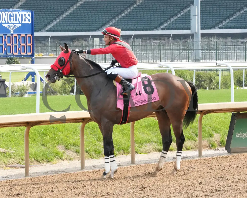 MERCANTE - 053125 - Race 09 - CD The Arlington Stakes G3 - 8th Running - Come Back 01 Churchill Downs