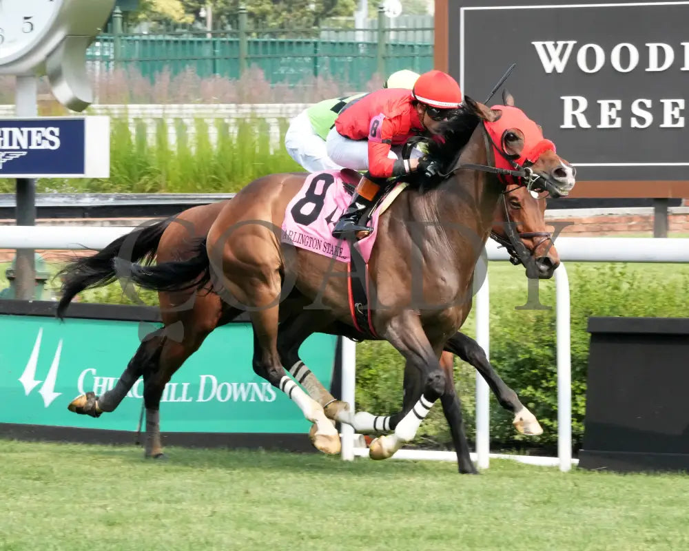 MERCANTE - 053125 - Race 09 - CD The Arlington Stakes G3 - 8th Running - Finish 02 Churchill Downs