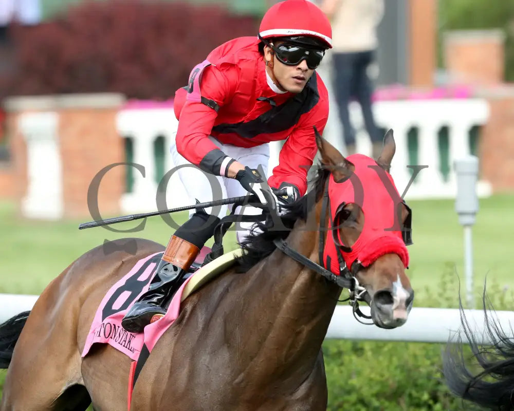 MERCANTE - 053125 - Race 09 - CD The Arlington Stakes G3 - 8th Running - Head On 02 Churchill Downs