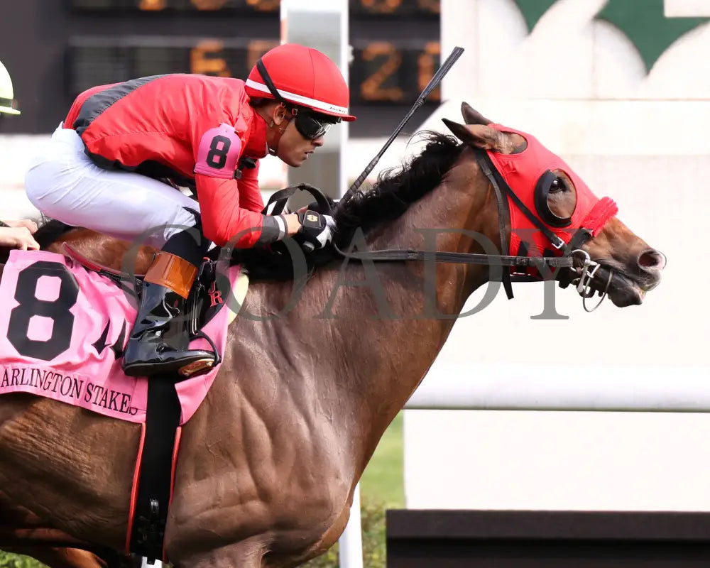 MERCANTE - 053125 - Race 09 - CD The Arlington Stakes G3 - 8th Running - Tight Finish 01 Churchill Downs