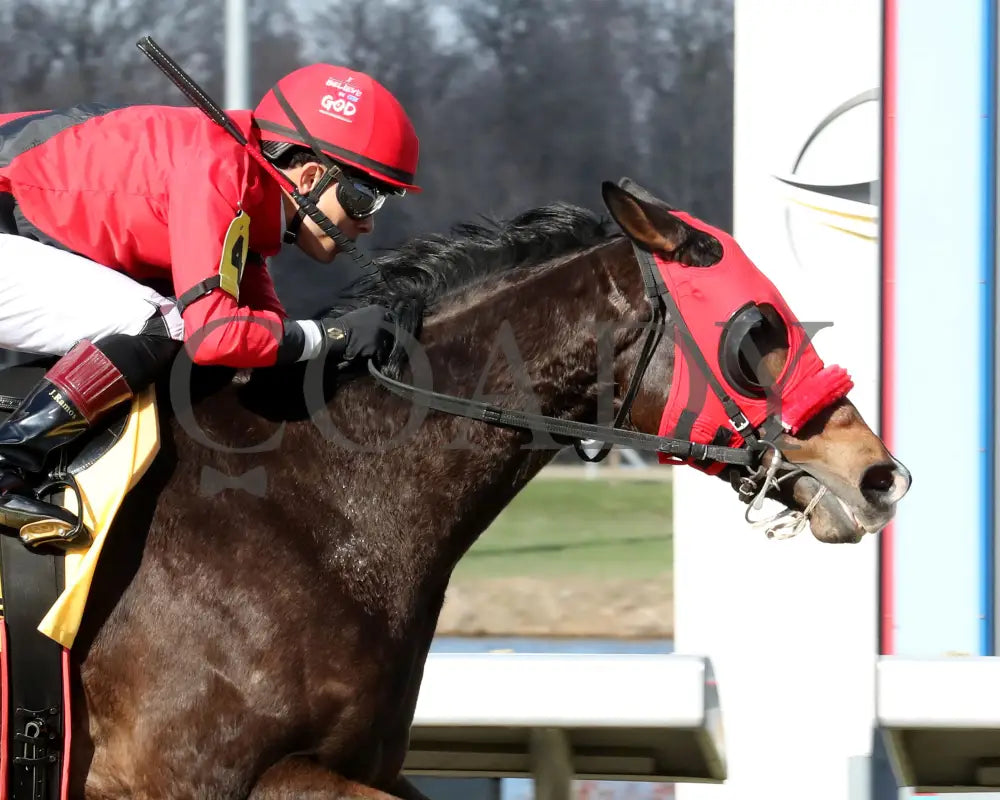 MERCANTE - TwinSpires Kentucky Cup Classic - 25th Running - 03-22-25 - R10 - TP - Finish 02 Turfway Park