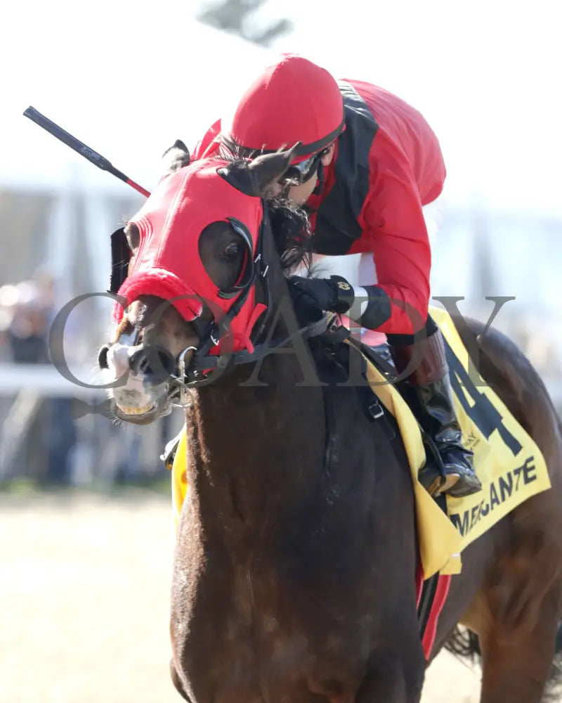 MERCANTE - TwinSpires Kentucky Cup Classic - 25th Running - 03-22-25 - R10 - TP - Inside Finish 01 Turfway Park