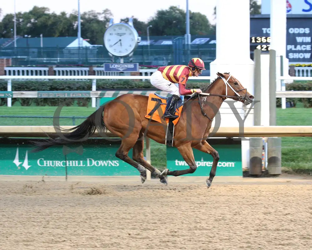 Mia Mischief - Dream Supreme Overnight Stakes 15Th Running 11-01-19 R09 Cd Finish 01 Churchill Downs