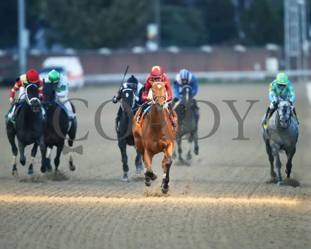 Mia Mischief - Dream Supreme Overnight Stakes 15Th Running 11-01-19 R09 Cd Head On 01 Churchill