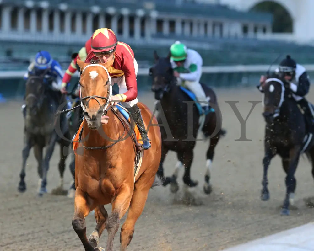 Mia Mischief - Dream Supreme Overnight Stakes 15Th Running 11-01-19 R09 Cd Inside Finish 01