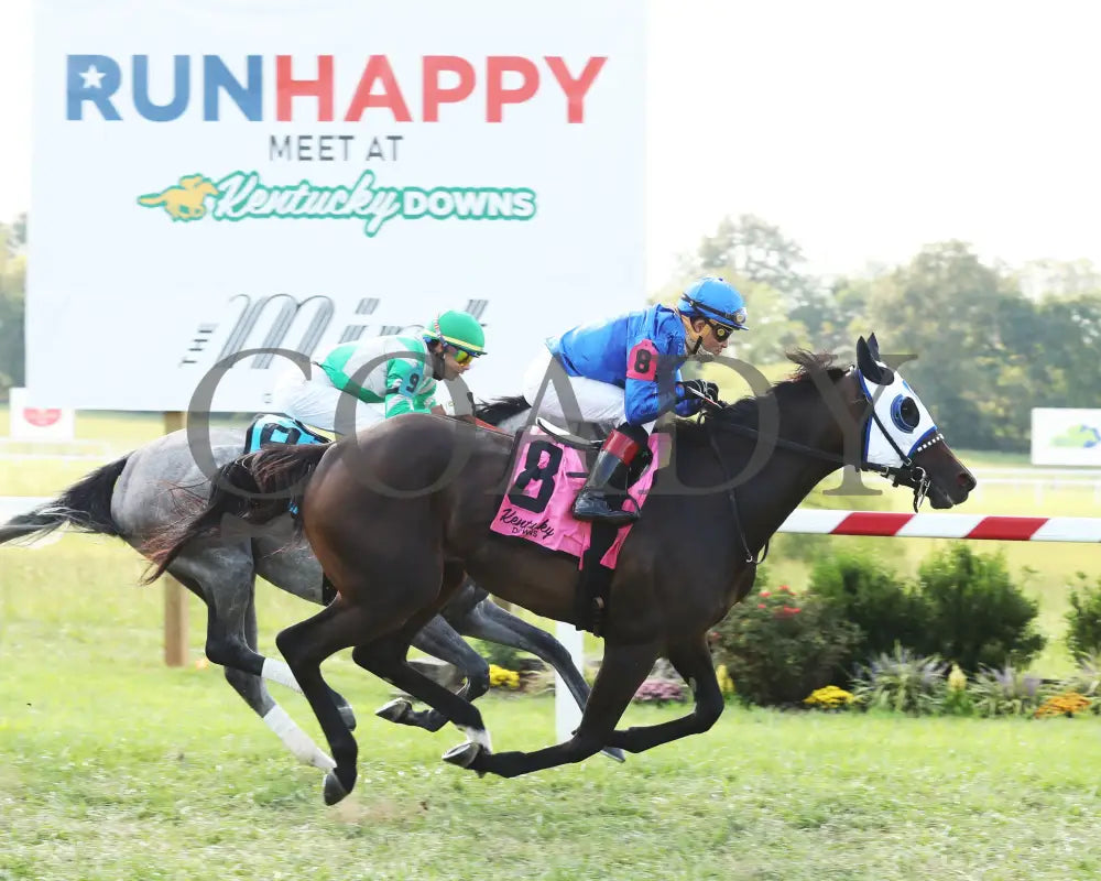 Micheline - Exacta Systems Dueling Grounds Oaks 6Th Running 09-10-20 R08 Kd Finish 01 Kentucky Downs