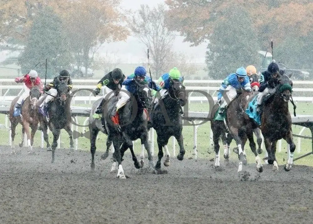 Middie - 1 102611 Race 06 Keeneland