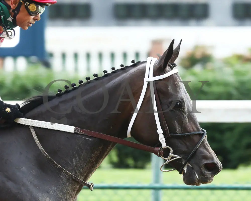 Midnight Bisou - The Fleur De Lis G2 45Th Running 06-27-20 R09 Cd Finish 05 Churchill Downs