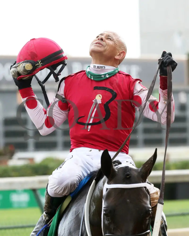 Midnight Bisou - The Fleur De Lis G2 45Th Running 06-27-20 R09 Cd Mike Smith 02 Churchill Downs