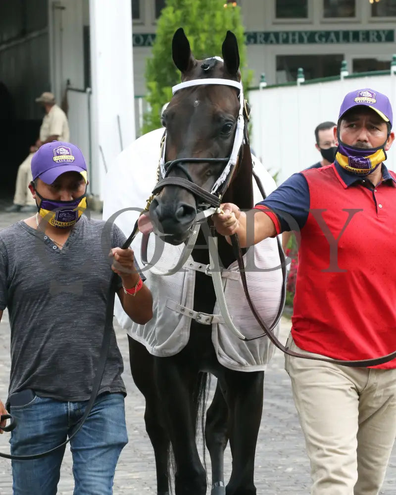 Midnight Bisou - The Fleur De Lis G2 45Th Running 06-27-20 R09 Cd Paddock 01 Churchill Downs