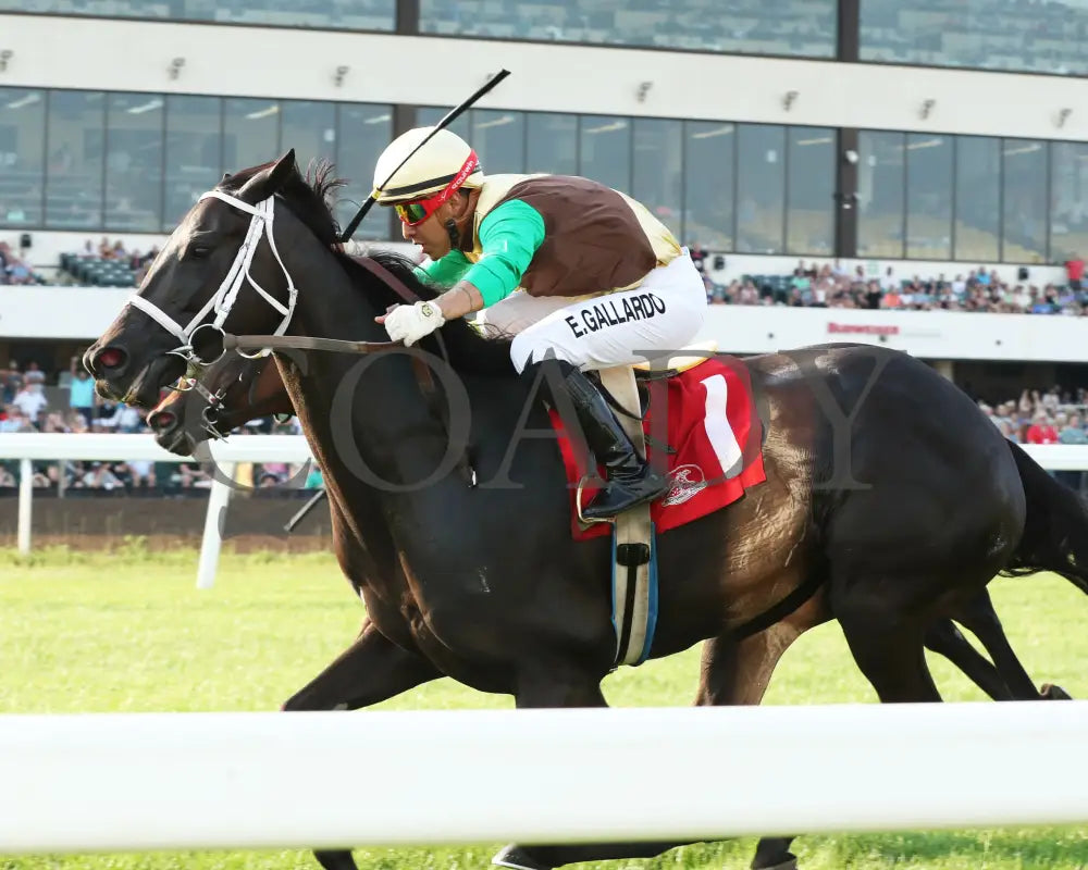 Midnight Current - Minnesota Turf Distaff 07-13-24 R04 Canterbury Park Inside Finish