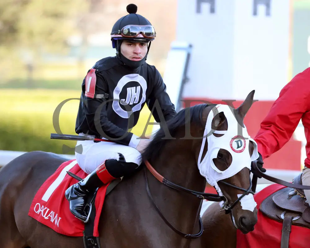 Midshipman’s Dance - Mockingbird Stakes 1St Running 01-13-24 R09 Op Post Parade 03 Oaklawn Park
