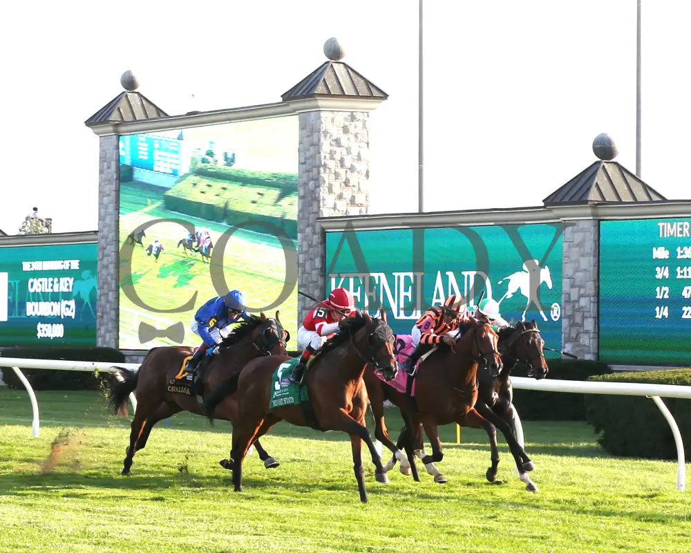 Minaret Station - The Castle & Key Bourbon G2 10-06-24 R10 Kee Finish 04 Keeneland
