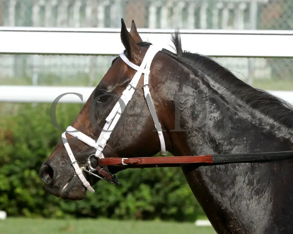 MINDFRAME - 062825 - Race 11 - CD - Come Back 05 Churchill Downs