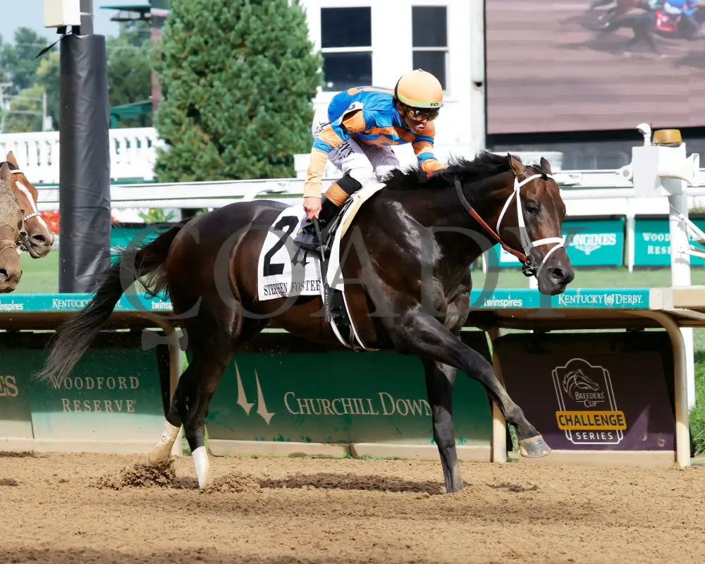 MINDFRAME - 062825 - Race 11 - CD - Finish 03 Churchill Downs