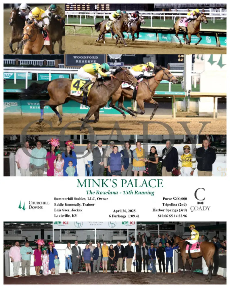 MINK’S PALACE - The Roxelana - 04-26-25 - R09 - CD Churchill Downs